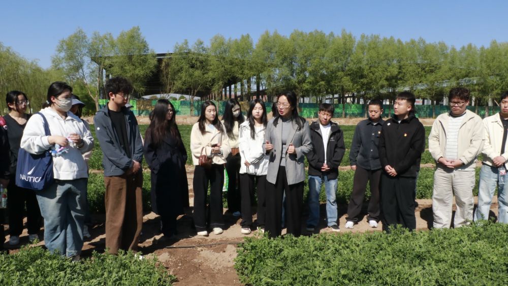 科技小院扎根寧夏大地，鄉村振興注入青春力量